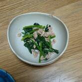 ホウレン草とツナのサラダ