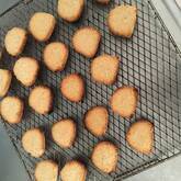 おからクッキー（犬用）