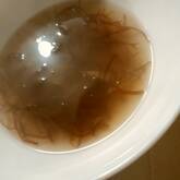 もずく中華スープ