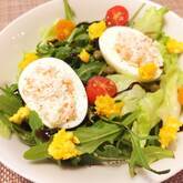 ゆで卵とスモークサーモンのサラダ