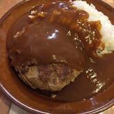 カレーソースのハンバーグ