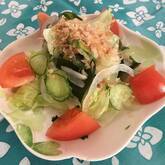 新玉ネギのサラダ