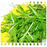 水菜の塩もみサラダ