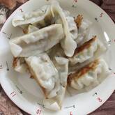 小松菜たっぷり餃子