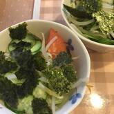 モヤシとキュウリの海苔和え