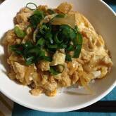 とろ～り半熟卵が絶品！基本の親子丼