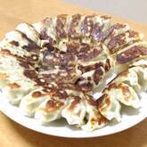 お店の味！基本の野菜たっぷり焼き餃子