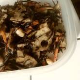 レンコン入りヒジキの煮物