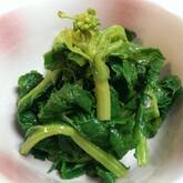 菜の花のからし和え