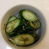 キュウリの昆布酢漬け