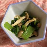 小松菜とシメジのからし和え