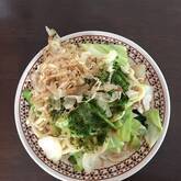 ネギたっぷり！究極のシンプル焼うどん