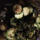 やみつきキュウリのナムル お箸止まらない 無限に食べたい居酒屋レシピ