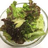チョレギサラダ