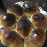 初めての方にぴったり！おうちで焼く基本のパン