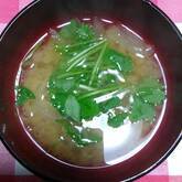 玉ネギとミツバのみそ汁
