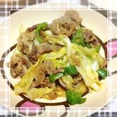 豚と野菜のショウガ炒め