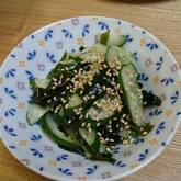 やみつきキュウリのナムル お箸止まらない 無限に食べたい居酒屋レシピ