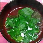 とろろ昆布の吸い物