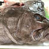 魚のアラの煮物