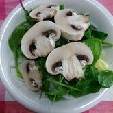 マッシュルームのサラダ