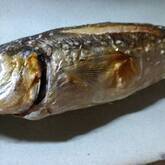 アジのハーブ焼き