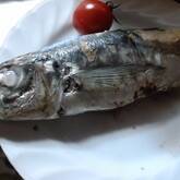 アジの塩焼き