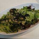 10分で絶品チョレギサラダ 食欲そそる定番の味 by近藤 瞳さん