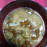 基本 なめこの味噌汁 簡単下処理 おいしく作るコツを伝授