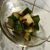 さっぱりキュウリ漬け