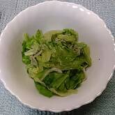 レタスのサラダ