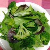 ベビーリーフのサラダ