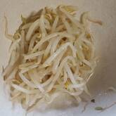 豆モヤシのナムル