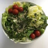 レタスのサラダ