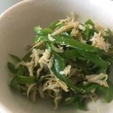 ピーマンとジャコの炒め物