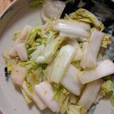 白菜の浅漬け