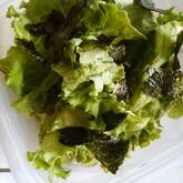 レタスの磯サラダ