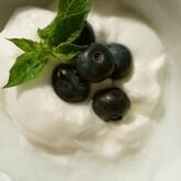 ハニーブルーベリーヨーグルト