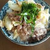 豚とキャベツのオイスター炒め