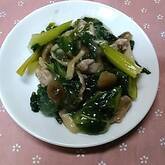 チンゲンサイの炒め煮