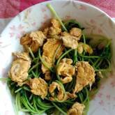 豆苗のオイスター炒め