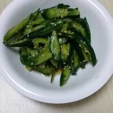 時短で簡単！パリパリきゅうりの無限ナムル