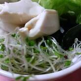 豆腐とワカメのサラダ