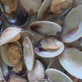 アサリの酒蒸し