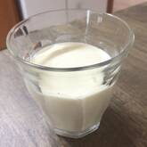 マンゴーラッシ―