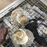 磯の味を堪能！サザエのつぼ焼き