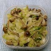 作り置きキャベツとシメジの塩麹もみ