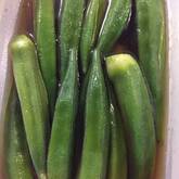 少ない油でできる！オクラの揚げ浸し