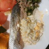 鮭のソテータルタルソース