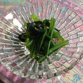 小松菜のゴマ和え